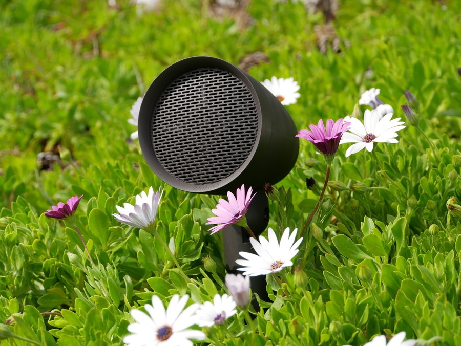 A close-up of an outdoor speaker discreetly installed in a garden area.